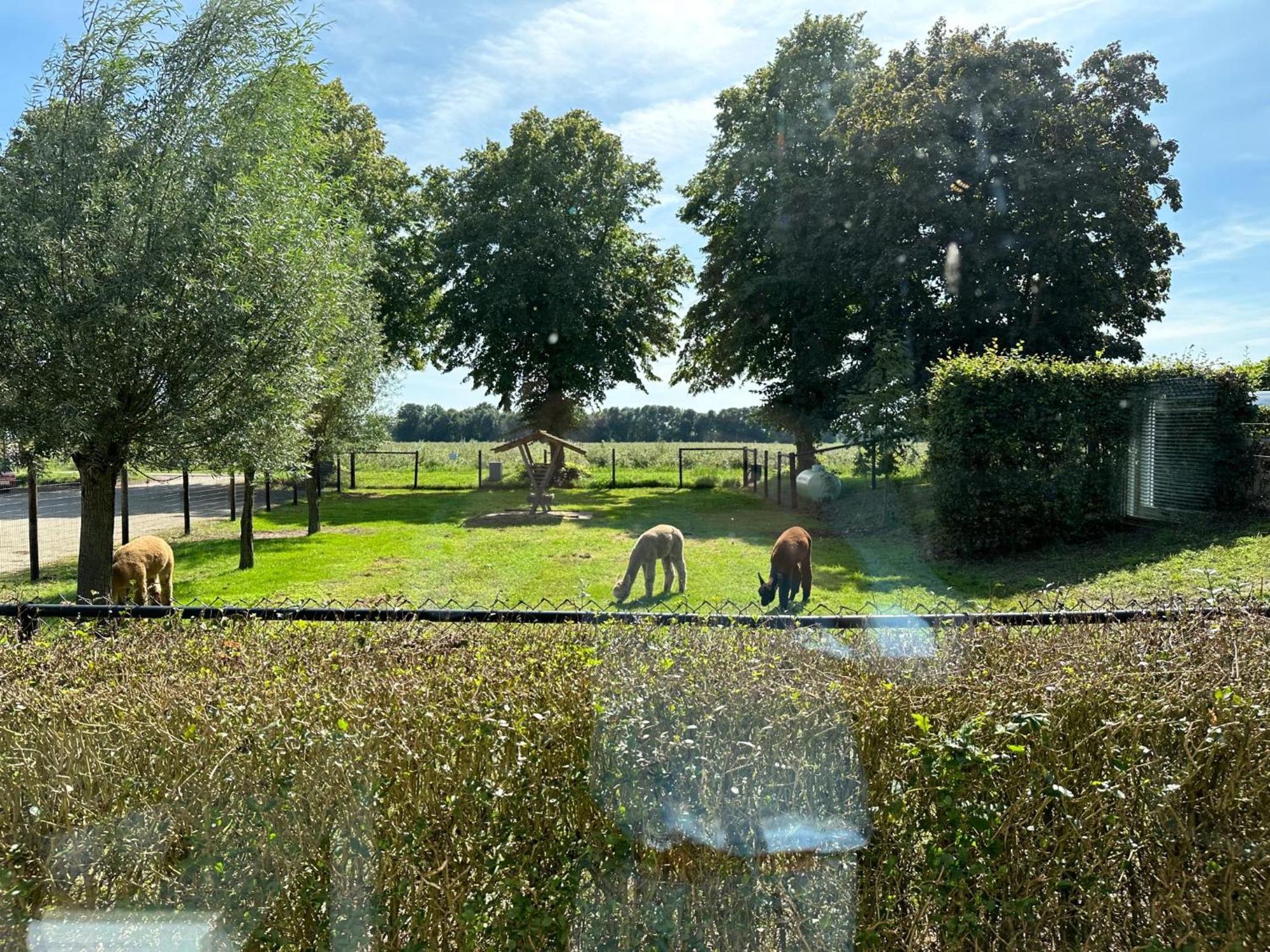 Alpacafarm Vorstenbosch Exterior foto