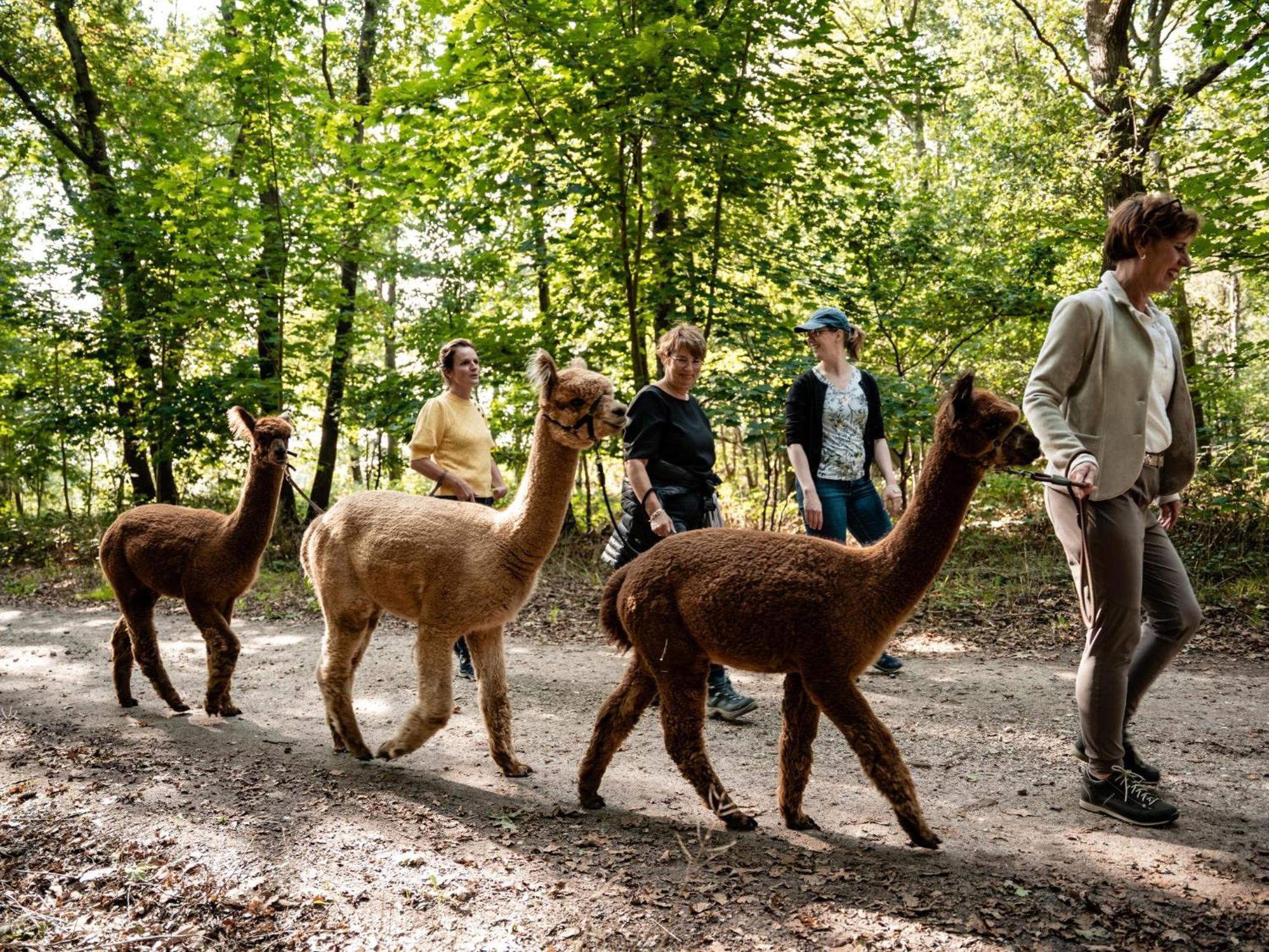 Alpacafarm Vorstenbosch Exterior foto